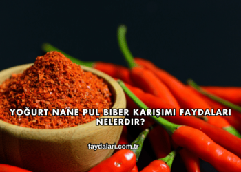 Yoğurt Nane Pul Biber Karışımı Faydaları Nelerdir?
