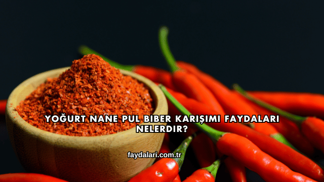 Yoğurt Nane Pul Biber Karışımı Faydaları Nelerdir?