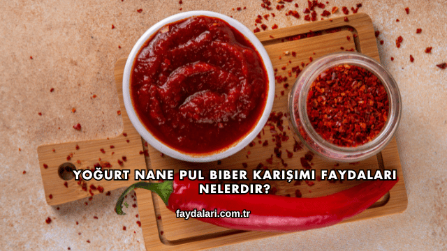 Yoğurt Nane Pul Biber Karışımı Faydaları Nelerdir?