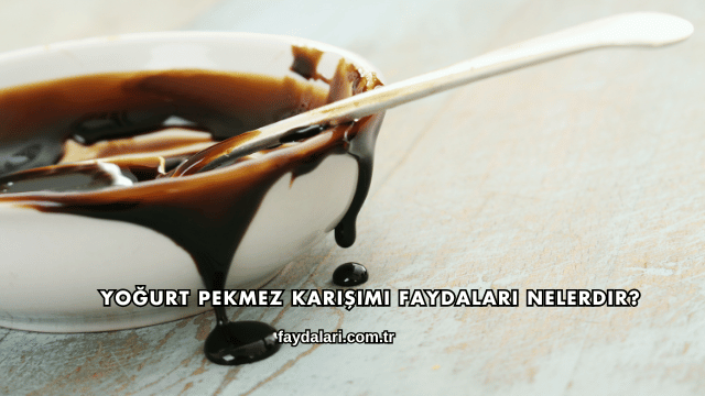 Yoğurt Pekmez Karışımı Faydaları Nelerdir?