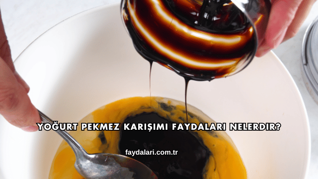 Yoğurt Pekmez Karışımı Faydaları Nelerdir?