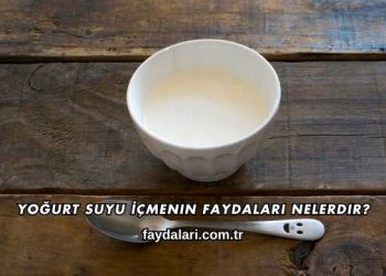 Yoğurt Suyu İçmenin Faydaları Nelerdir?