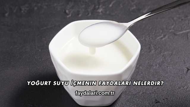 Yoğurt Suyu İçmenin Faydaları Nelerdir?