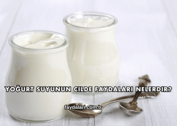 Yoğurt Suyunun Cilde Faydaları Nelerdir?