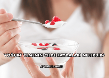 Yoğurt Yemenin Cilde Faydaları Nelerdir?