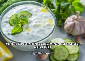 Yoğurt ve Limon Karışımının Faydaları Nelerdir?