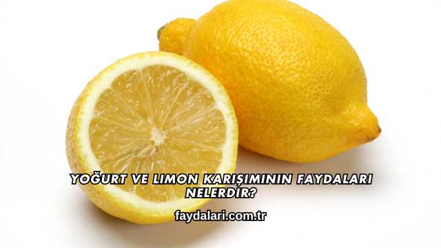 Yoğurt ve Limon Karışımının Faydaları Nelerdir?