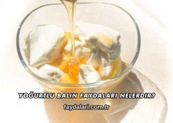 Yoğurtlu Balın Faydaları Nelerdir?