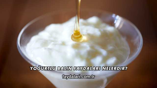 Yoğurtlu Balın Faydaları Nelerdir?