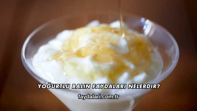 Yoğurtlu Balın Faydaları Nelerdir?
