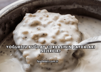 Yoğurtlu Buğday Çorbasının Faydaları Nelerdir?