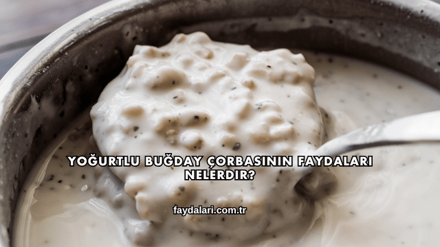 Yoğurtlu Buğday Çorbasının Faydaları Nelerdir?