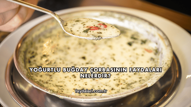 Yoğurtlu Buğday Çorbasının Faydaları Nelerdir?