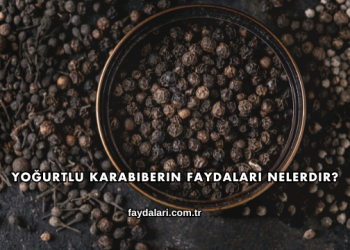 Yoğurtlu Karabiberin Faydaları Nelerdir?
