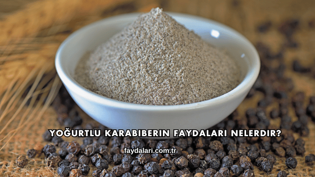 Yoğurtlu Karabiberin Faydaları Nelerdir?