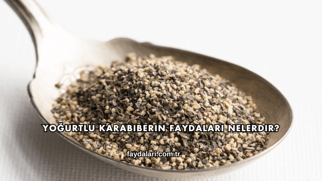 Yoğurtlu Karabiberin Faydaları Nelerdir?