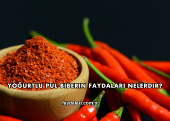 Yoğurtlu Pul Biberin Faydaları Nelerdir?