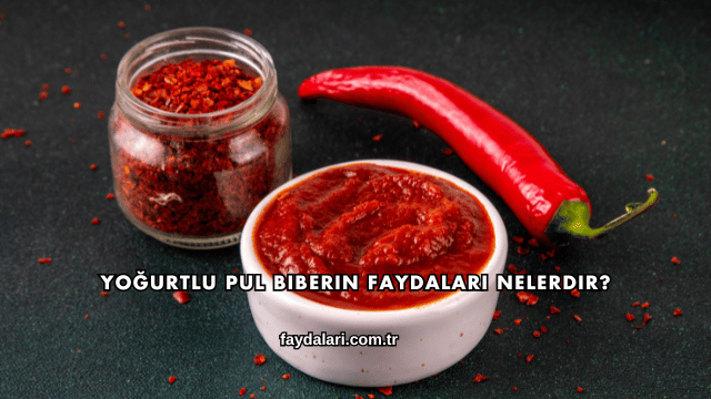 Yoğurtlu Pul Biberin Faydaları Nelerdir?