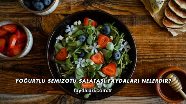 Yoğurtlu Semizotu Salatası Faydaları Nelerdir?