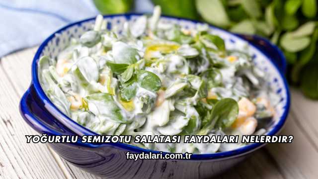 Yoğurtlu Semizotu Salatası Faydaları Nelerdir?