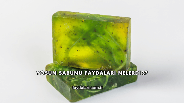 Yosun Sabunu Faydaları Nelerdir?