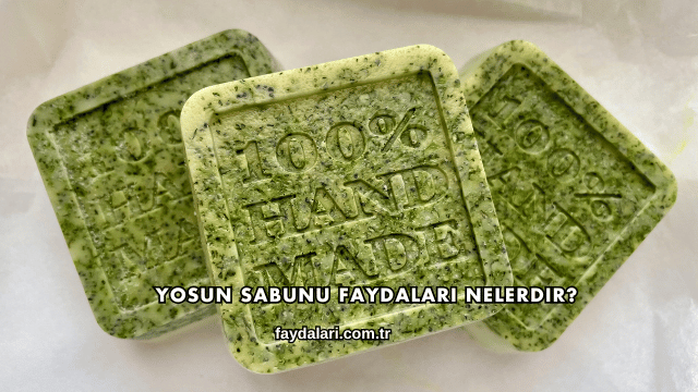 Yosun Sabunu Faydaları Nelerdir?