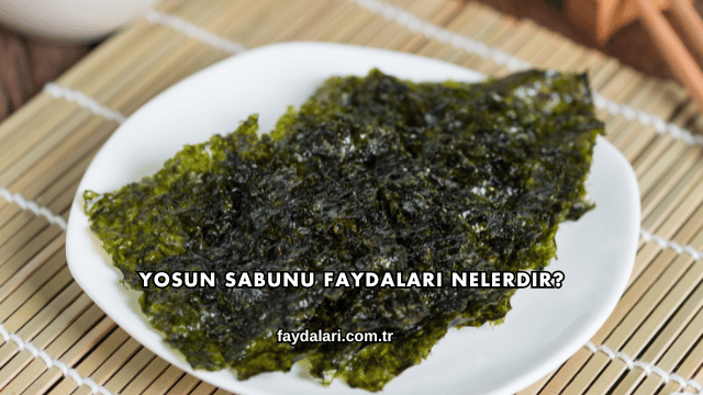 Yosun Sabunu Faydaları Nelerdir?