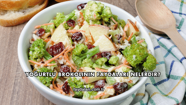 Yoğurtlu Brokolinin Faydaları Nelerdir?