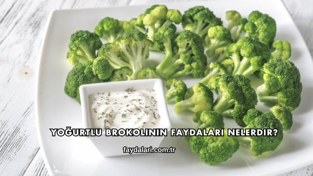 Yoğurtlu Brokolinin Faydaları Nelerdir?