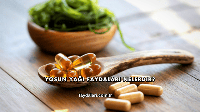Yosun Yağı Faydaları Nelerdir?