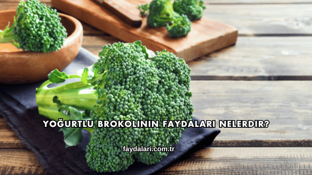Yoğurtlu Brokolinin Faydaları Nelerdir?