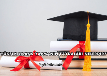 Yüksek Lisans Yapmanın Faydaları Nelerdir?