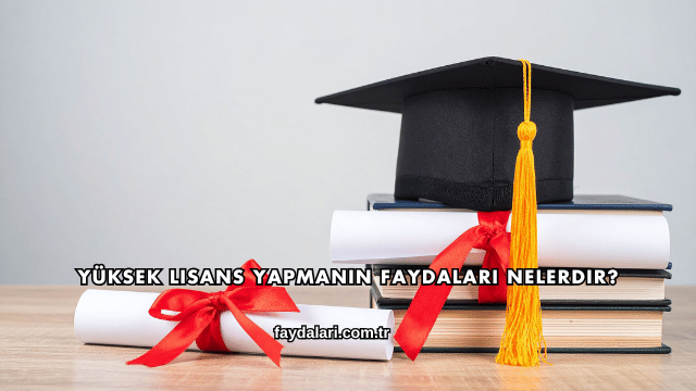 Yüksek Lisans Yapmanın Faydaları Nelerdir?