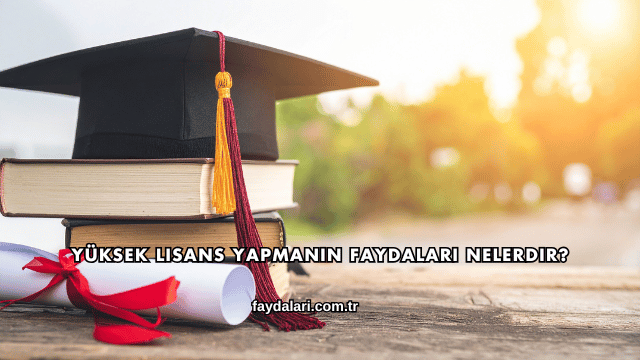 Yüksek Lisans Yapmanın Faydaları Nelerdir?