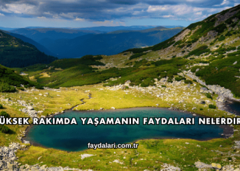 Yüksek Rakımda Yaşamanın Faydaları Nelerdir?