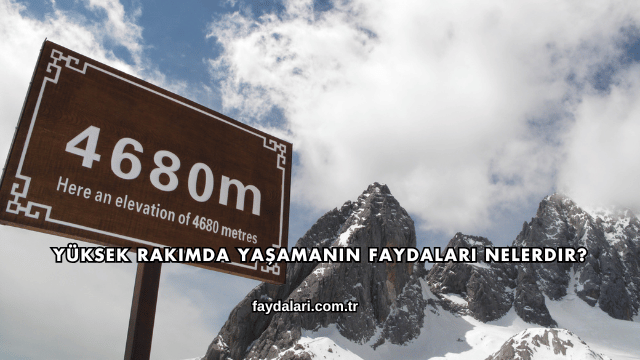 Yüksek Rakımda Yaşamanın Faydaları Nelerdir?