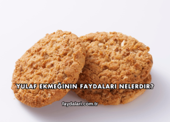 Yulaf Ekmeğinin Faydaları Nelerdir?