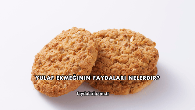 Yulaf Ekmeğinin Faydaları Nelerdir?