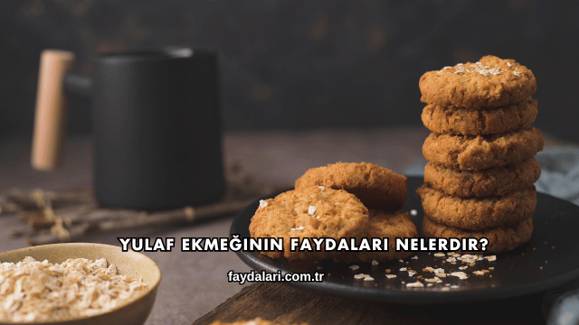 Yulaf Ekmeğinin Faydaları Nelerdir?