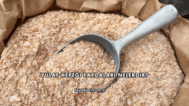 Yulaf Kepeği Faydaları Nelerdir?