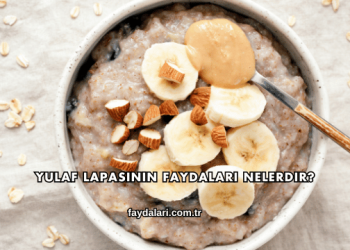 Yulaf Lapasının Faydaları Nelerdir?
