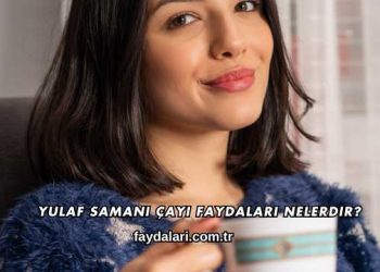 Yulaf Samanı Çayı Faydaları Nelerdir?