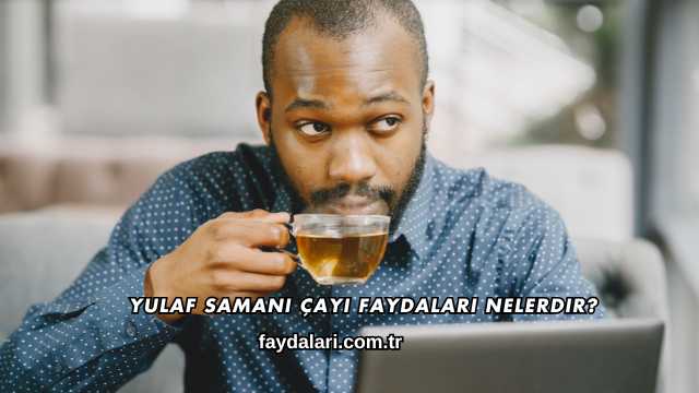 Yulaf Samanı Çayı Faydaları Nelerdir?