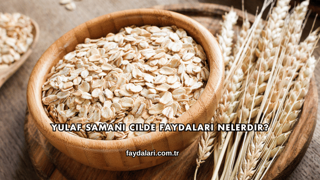 Yulaf Samanı Cilde Faydaları Nelerdir?