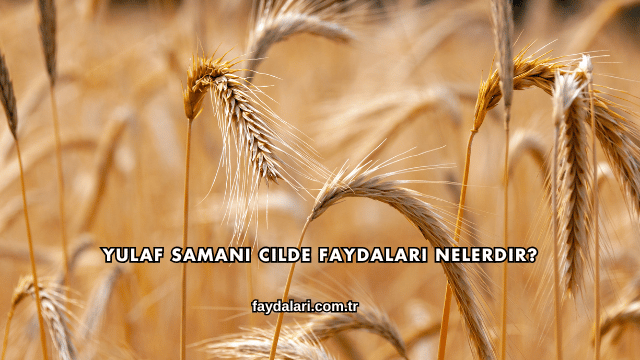 Yulaf Samanı Cilde Faydaları Nelerdir?