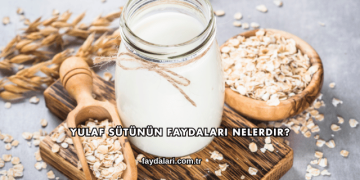 Yulaf Sütünün Faydaları Nelerdir?