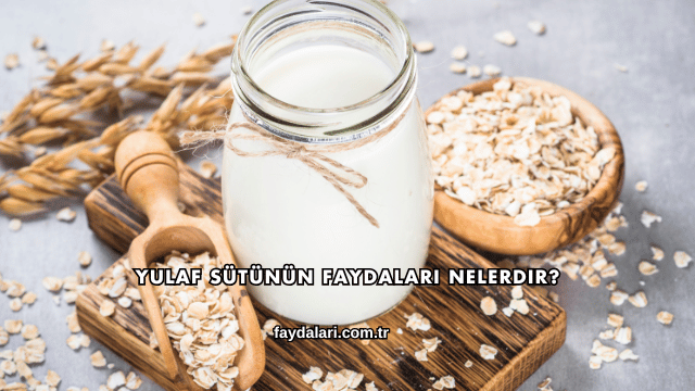 Yulaf Sütünün Faydaları Nelerdir?