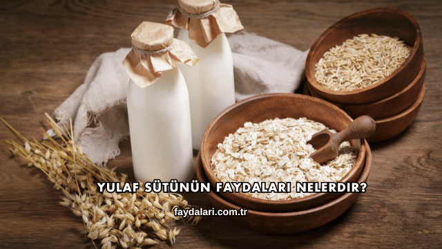 Yulaf Sütünün Faydaları Nelerdir?