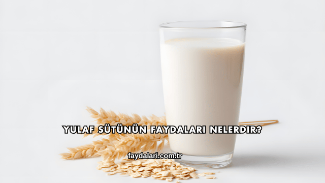 Yulaf Sütünün Faydaları Nelerdir?