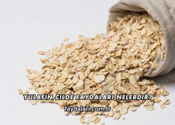 Yulafın Cilde Faydaları Nelerdir?